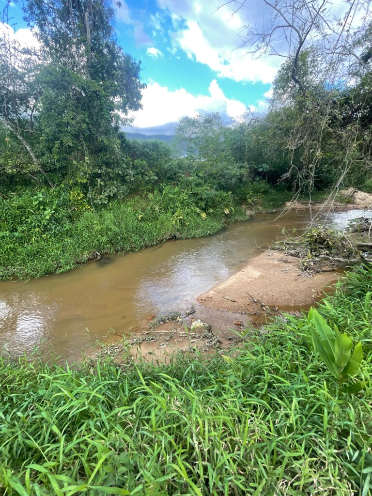 WhatsApp Image 2025-10-28 at 16.35.48 (3)