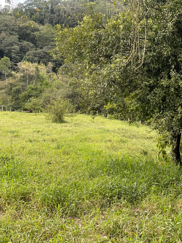 WhatsApp Image 2025-10-28 at 16.35.48 (5)