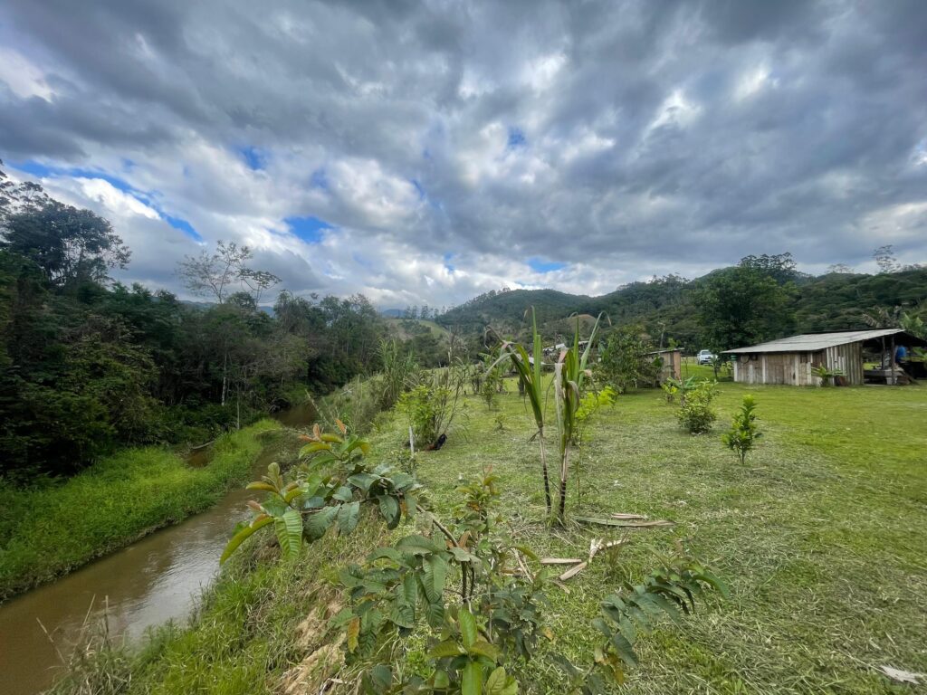 WhatsApp Image 2025-10-28 at 16.35.49 (4)