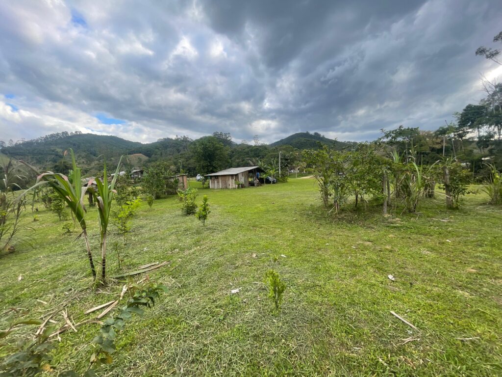 WhatsApp Image 2025-10-28 at 16.35.49 (6)