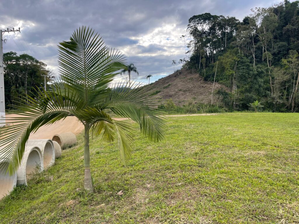 WhatsApp Image 2025-10-28 at 16.35.49 (9)